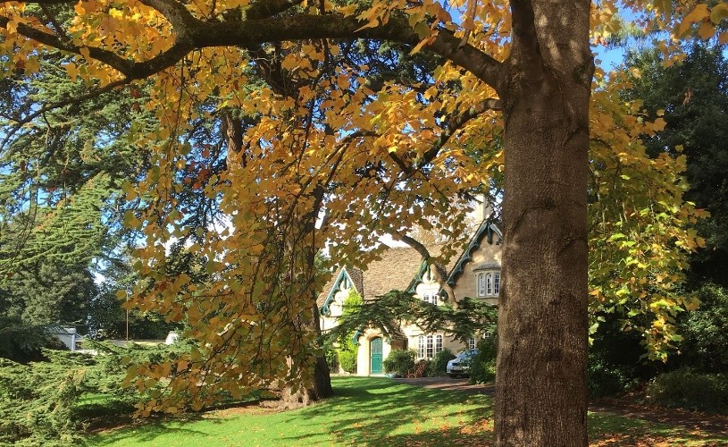 Autumn in Royal Victoria Park